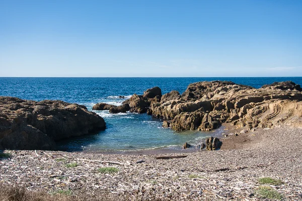 TTT-Point-Lobos-State-Reserve-05