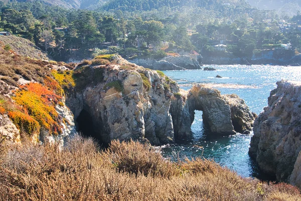 TTT-Point-Lobos-State-Reserve-06