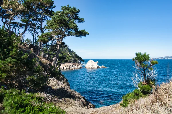 TTT-Point-Lobos-State-Reserve-08
