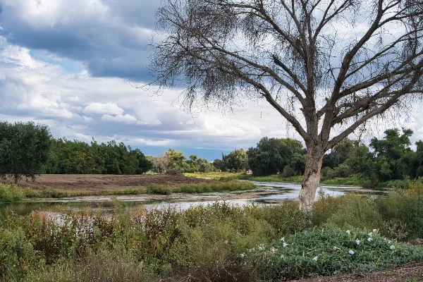 TTT-St-Johns-Riverwalk-Visalia-CA-03