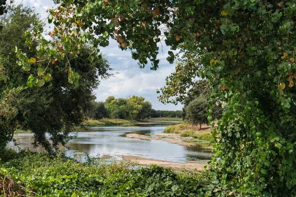 TTT-St-Johns-Riverwalk-Visalia-CA-07