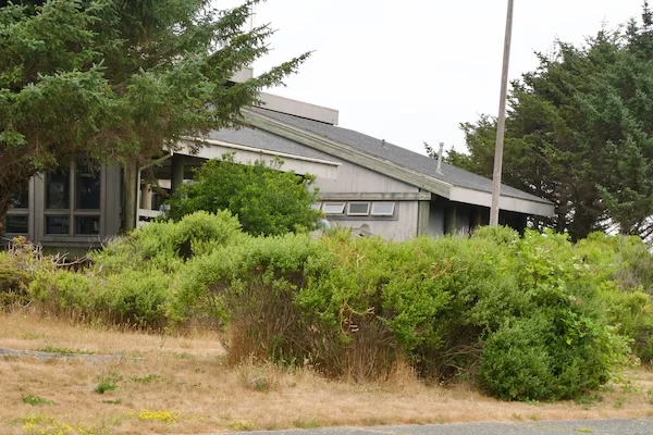 TTT-Visitor-Center-Redwood-National-State-Parks-01