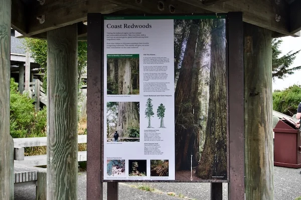TTT-Visitor-Center-Redwood-National-State-Parks-02