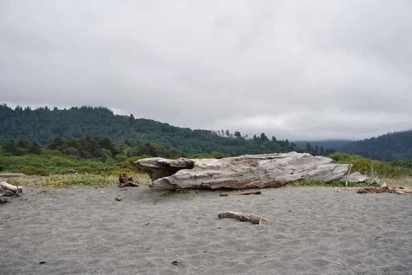 TTT-Visitor-Center-Redwood-National-State-Parks-10