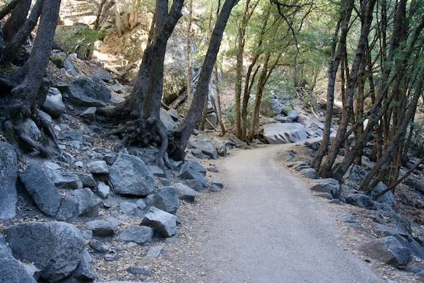 TTT-Yosemite-Waterfall-Loop-02
