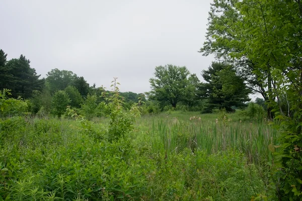 TTT-Acacia-Reservation-Lyndhurst-OH-04