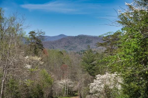 TTT-Airbnb-Franklin-TN-In-The-Neighborhood-01