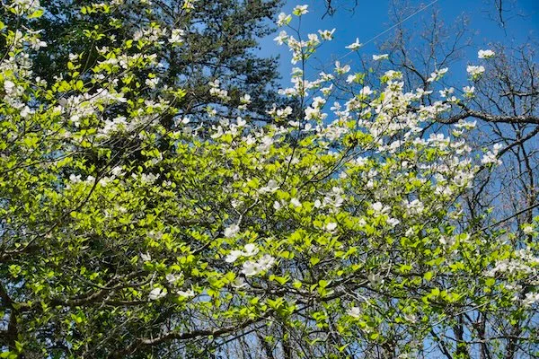 TTT-Airbnb-Franklin-TN-In-The-Neighborhood-03