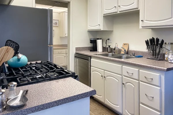 TTT-Airbnb-Thousand-Oaks-CA-04