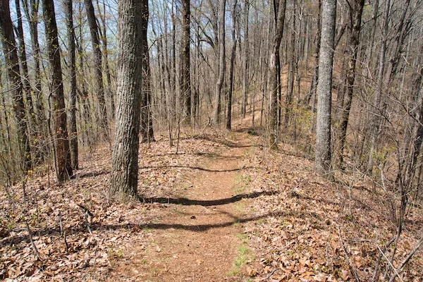 TTT-Bartram-Trail- Franklin-NC-02