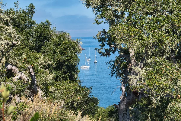 TTT-Channel-Islands-Santa-Cruz-03