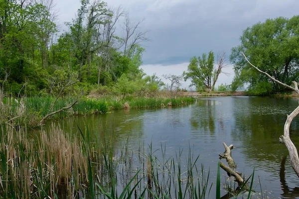 TTT-Golden-Hill-State-Park-07