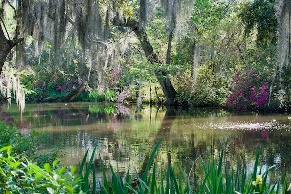 TTT-Magnolia-Plantation-and-Gardens-Charleston-SC-01