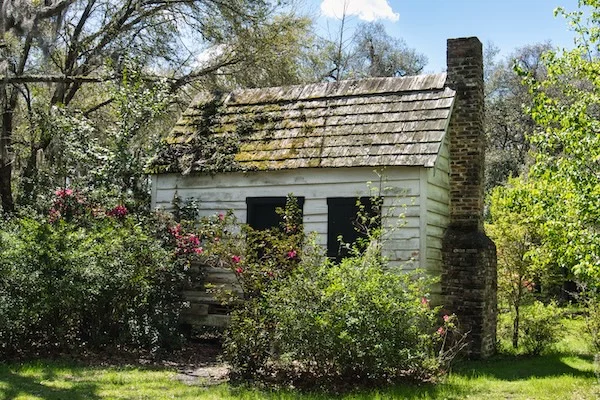 TTT-Magnolia-Plantation-and-Gardens-Charleston-SC-09