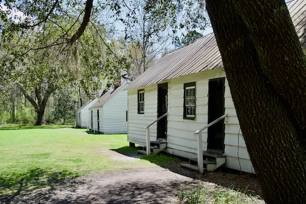 TTT-Magnolia-Plantation-and-Gardens-Charleston-SC-12