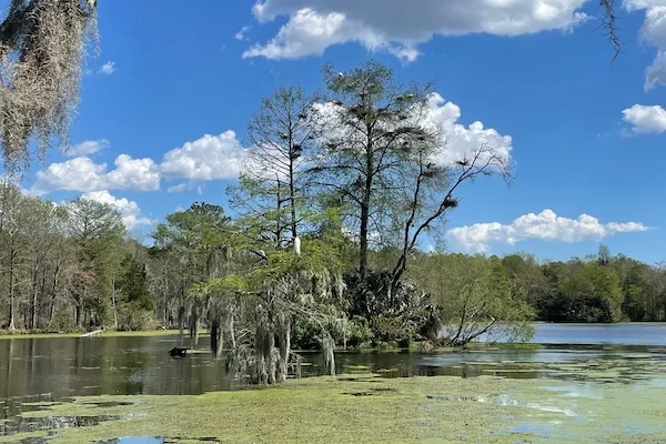 TTT-Magnolia-Plantation-and-Gardens-Charleston-SC-14
