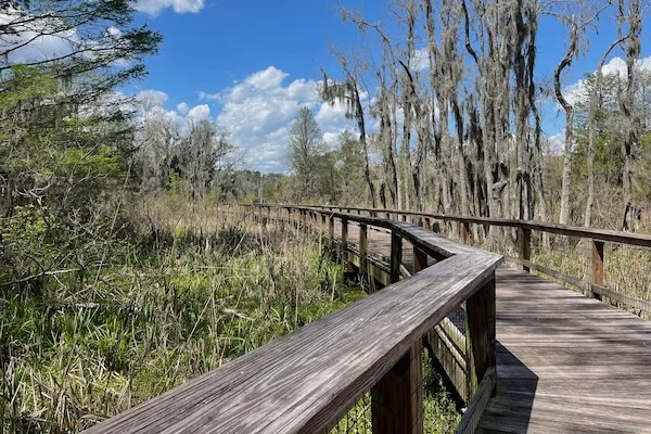 TTT-Magnolia-Plantation-and-Gardens-Charleston-SC-15