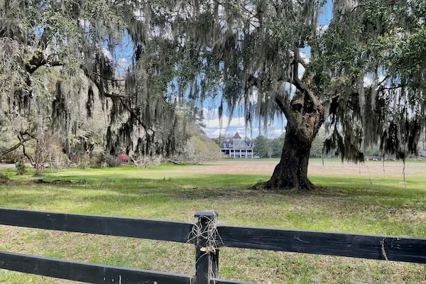 TTT-Magnolia-Plantation-and-Gardens-Charleston-SC-16