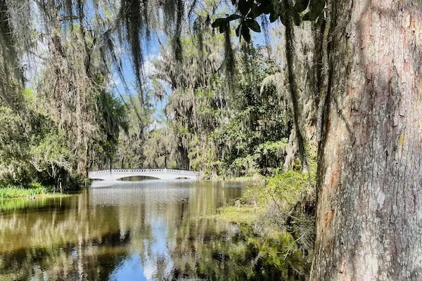 TTT-Magnolia-Plantation-and-Gardens-Charleston-SC-17