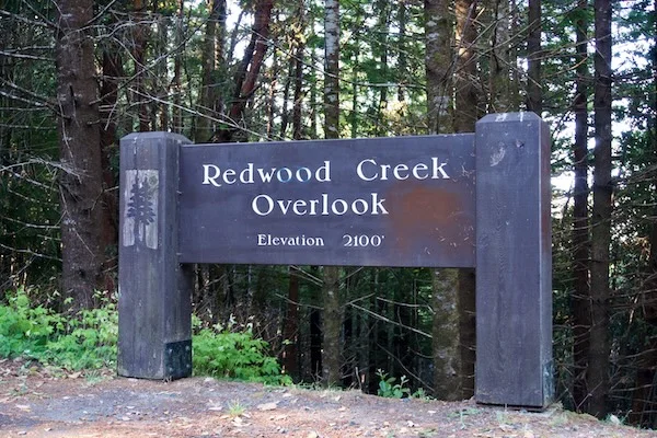 TTT-Redwood-Creek-Overlook-01