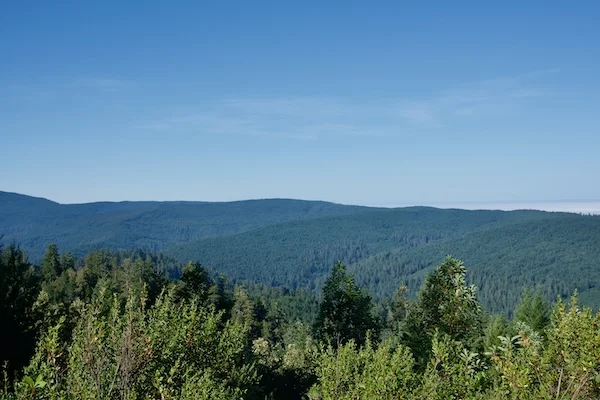 TTT-Redwood-Creek-Overlook-02