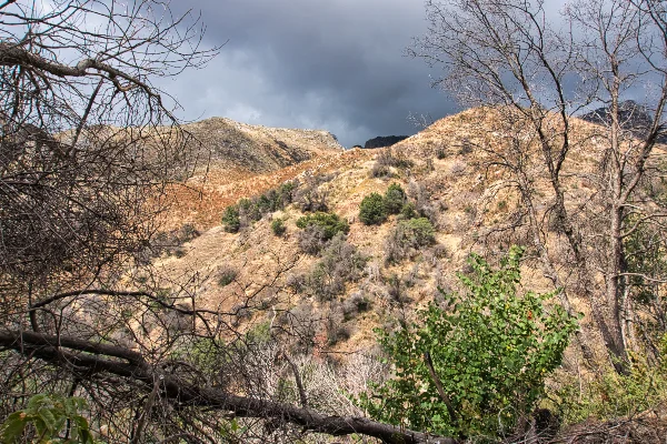 TTT-Sequoia-&-Kings-Canyon-Marble-Falls-Trail-03
