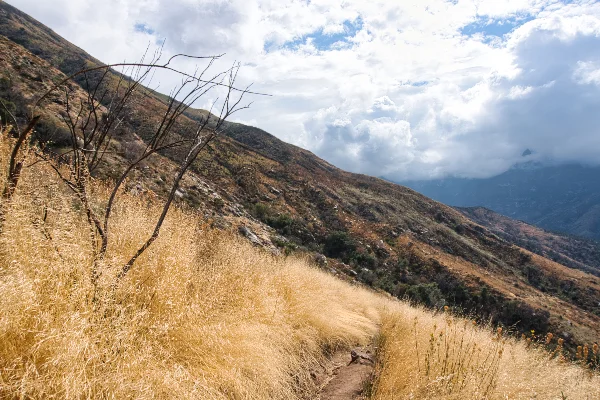 TTT-Sequoia-&-Kings-Canyon-Marble-Falls-Trail-04