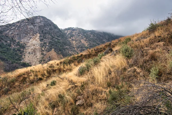 TTT-Sequoia-&-Kings-Canyon-Marble-Falls-Trail-08
