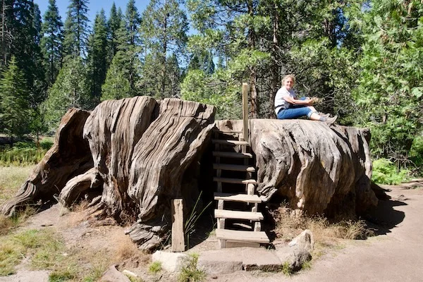 TTT-Sequoia-&-Kings-Canyon-NPS-Big-Stump-Trail-05