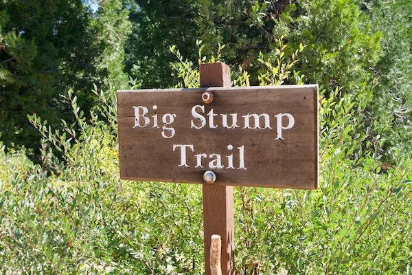 TTT-Sequoia-&-Kings-Canyon-NPS-Big-Stump-Trail-06