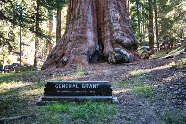 TTT-Sequoia-&-Kings-Canyon-NPS-General-Grant-Tree-01