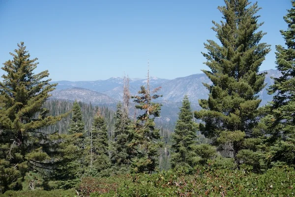 TTT-Sequoia-&-Kings-Canyon-NPS-Kings-Canyon-Overlook-02