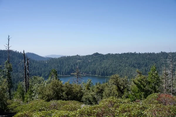 TTT-Sequoia-&-Kings-Canyon-NPS-North-Grove-Trails-03
