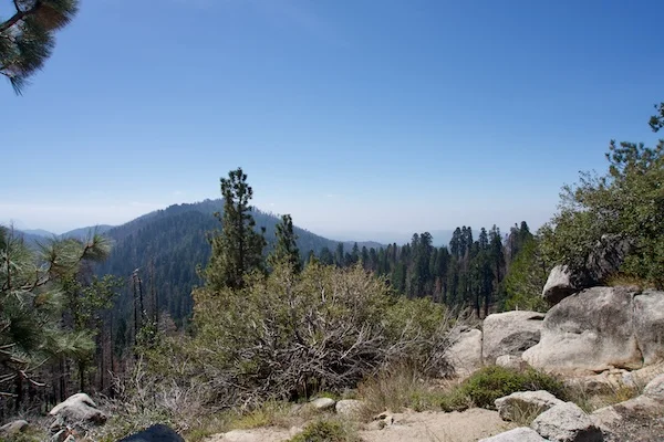 TTT-Sequoia-&-Kings-Canyon-NPS-Redwood-Mountain-Overlook-01
