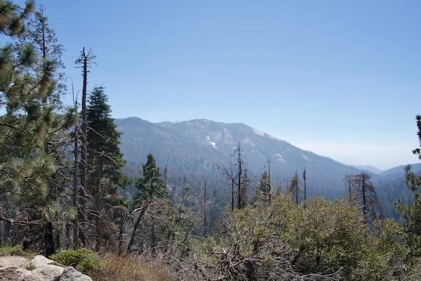 TTT-Sequoia-&-Kings-Canyon-NPS-Redwood-Mountain-Overlook-02