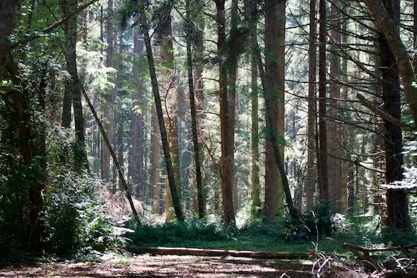 TTT-Sue-Meg-State-Park-10