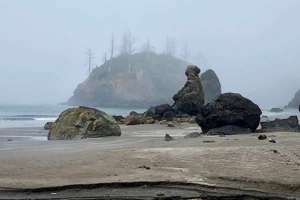 TTT-Trinidad- Beach-01