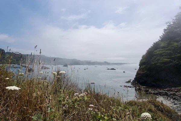 TTT-Trinidad-CA-05
