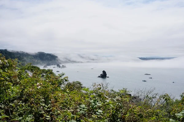 TTT-Trinidad-CA-06