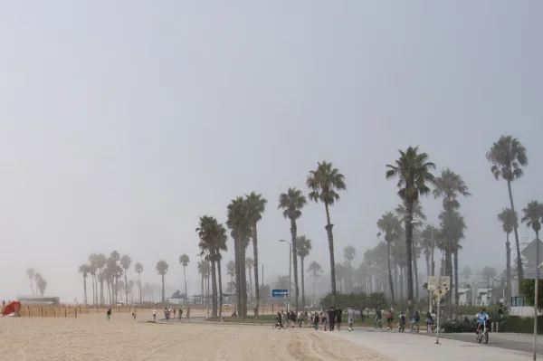 TTT-Venice-Beach-Los-Angeles-03