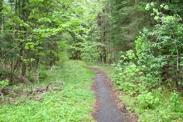 TTT-Deer-Pond-Loop-Adirondack-Mountains-02