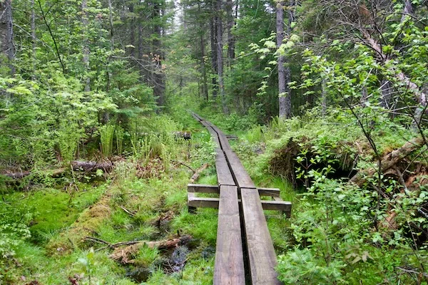 TTT-Deer-Pond-Loop-Adirondack-Mountains-04
