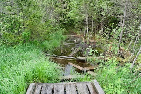 TTT-Deer-Pond-Loop-Adirondack-Mountains-05