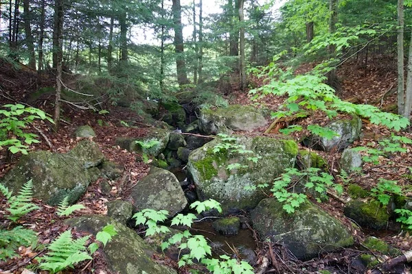 TTT-Deer-Pond-Loop-Adirondack-Mountains-09