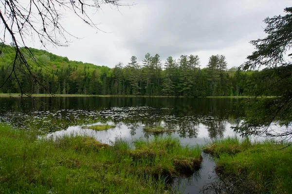 TTT-Deer-Pond-Loop-Adirondack-Mountains-10
