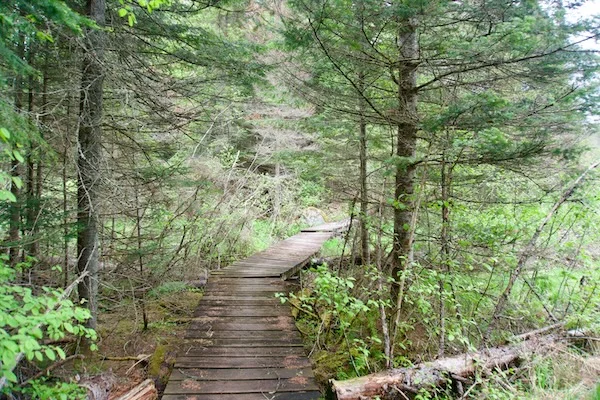 TTT-Deer-Pond-Loop-Adirondack-Mountains-11