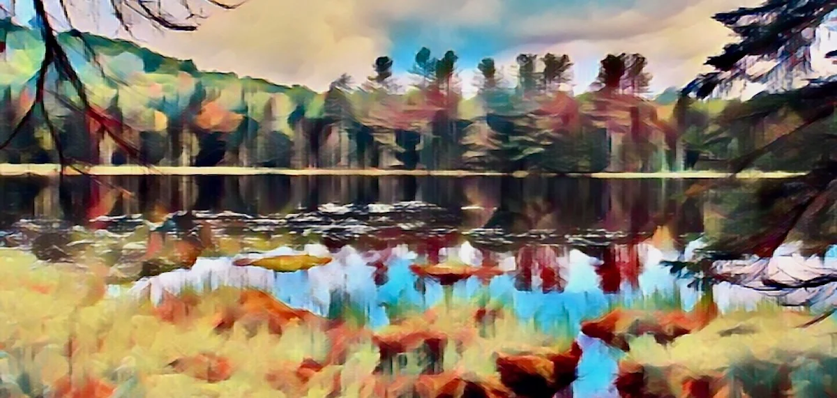 A Buggy Introduction to the Adirondacks at The Deer Pond Loop