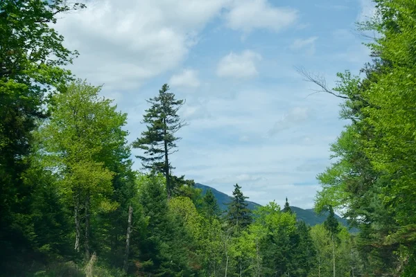 TTT-Driving-Through-The-Adirondacks-08