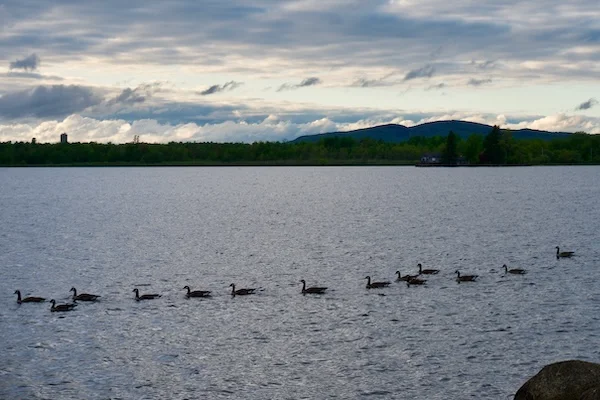 TTT-Evening-Walk-Tupper-Lake-05