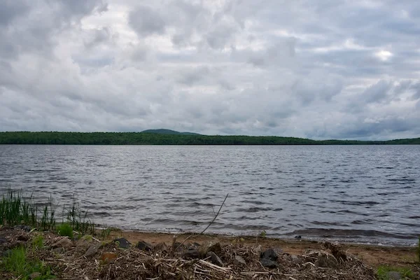 TTT-Evening-Walk-Tupper-Lake-06